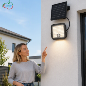 Which Solar Flood Light Factory Has the Best Technology?
