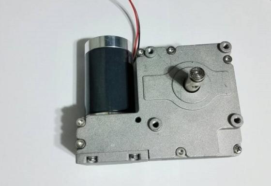 24V Permanent Magnet DC Worm Gear Motor – High-Quality Bed Adjustment Motor