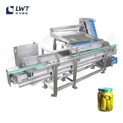 Automatic Canned Cucumber Production Line – Custom Vegetable Canning Equipment