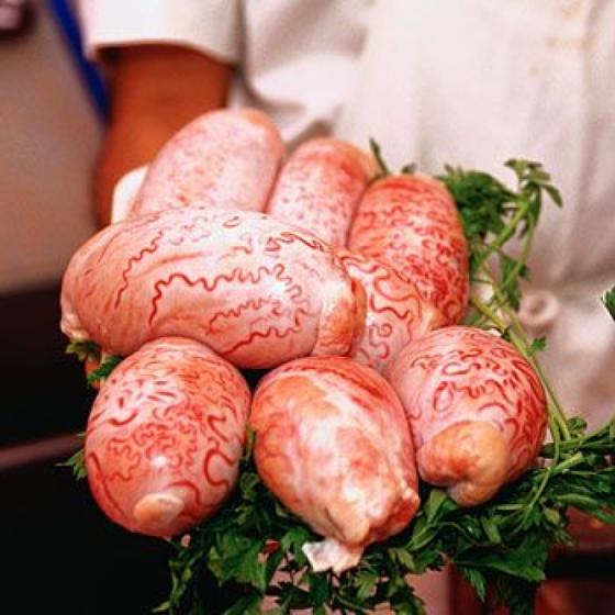 Frozen &amp; Fresh Beef and Sheep Testicles – Edible Offal for Export