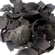 Coconut Shell &amp; Wood Charcoal – Eco-Friendly Fuel for BBQ &amp; Industry