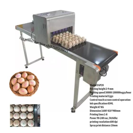 Egg Printer Machine – Automatic Egg Coding & Date Marking System for Poultry Farms- Southeast Asia Supplier