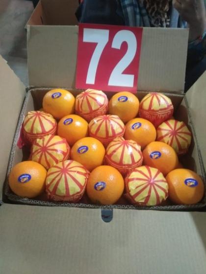 Egyptian Orange Valncia