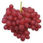 Fresh Seedless Grapes Superior with High Quality & Best Price- Southeast Asia Supplier
