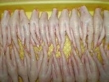 Frozen Chicken Feet – Clean, Sorted, Vacuum-Packed Poultry By-Product for Global Trade
