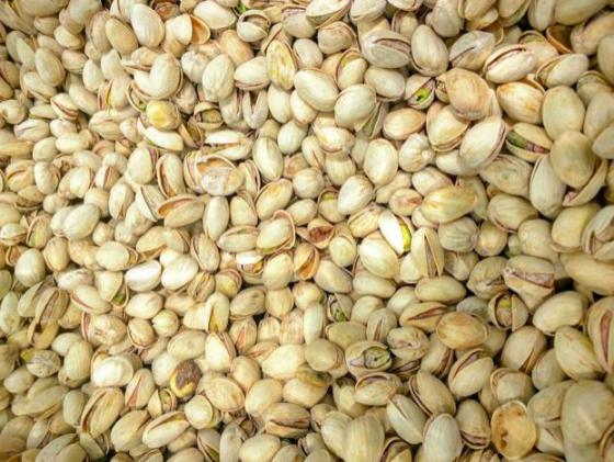 Indian Organic Pistachio Kernel Nuts – 