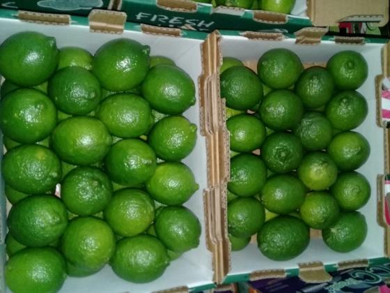 Fresh Lemons – Food-Grade Citrus Fruit for Export &amp; Processing
