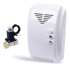 Microprocessor-Controlled Flammable Gas Detector with Solenoid Valve – Automatic Gas Shut-Off System- Southeast Asia Supplier