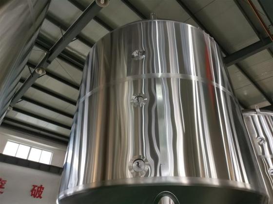 Stainless Steel Brite Tank – Bright Beer Storage Vessel for Brewery Applications